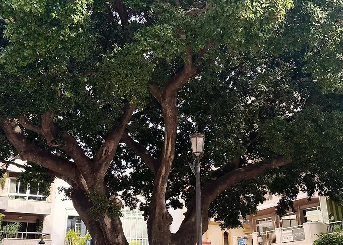 Centrobeach 250m From Apartment Fuengirola