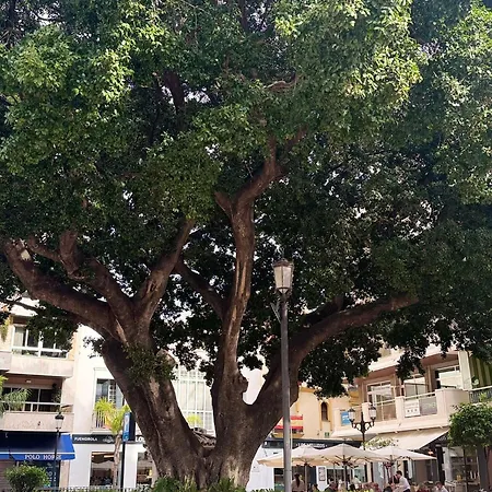 Centrobeach 250m From Apartment Fuengirola
